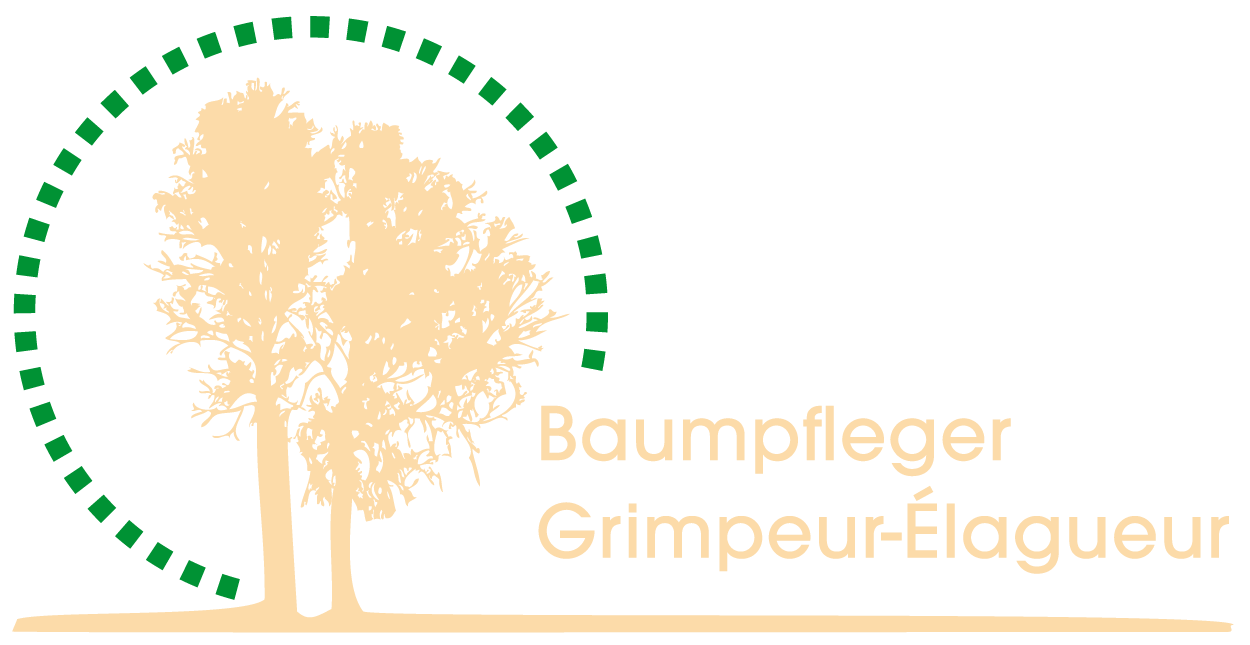 Baumpflege Rony Devroye